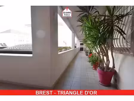 appartement 5 pièces