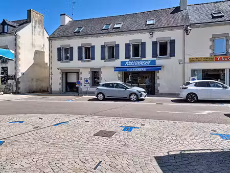 immeuble nevez (29920)  10 pièce(s) 220 m2