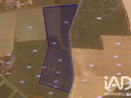 vente terrain à chailly-en-gâtinais (45260) : à vendre / 60000m² chailly-en-gâtinais