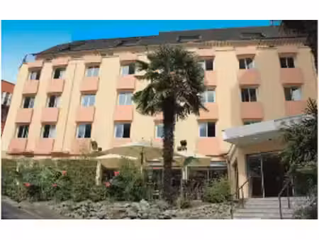 vente locaux professionnels 2325 m² à lourdes (65100)  nan €