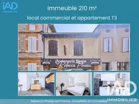 vente immeuble à montesquieu-volvestre (31310) : à vendre / 210m² montesquieu-volvestre
