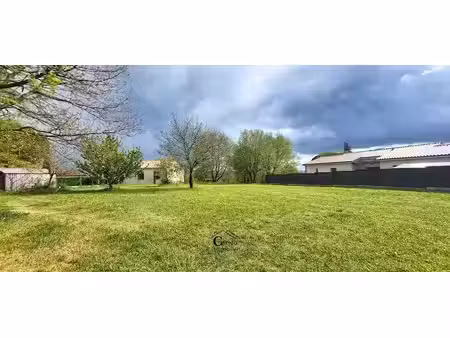 vente terrain 1000 m² à puylaurens (81700)  77 000 €