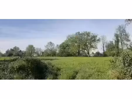 vente terrain 314 m² à savigné-l'evêque (72460)  48 900 €