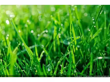 vente terrain 600 m² à fresne-le-plan (76520)  85 000 €