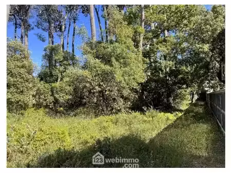 terrain à bâtir - 1182m² - jard-sur-mer