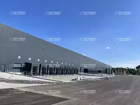 location entrepôt logistique 5 936 m²