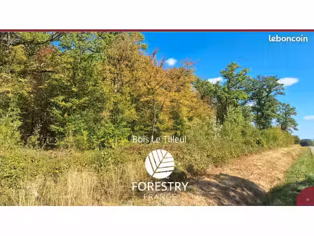 foret de 10 ha à dominante de chêne – bourgogne-franche-comté