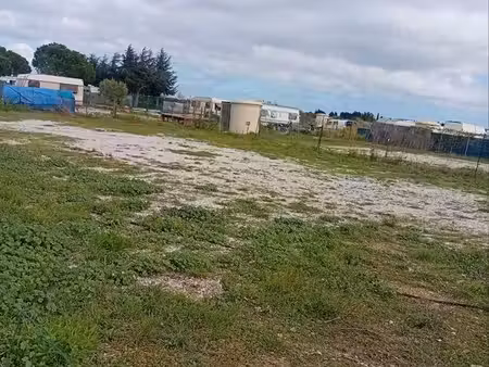 terrain