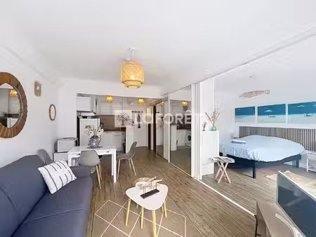 appartement argeles sur mer 2 pièce(s) 37 m2
