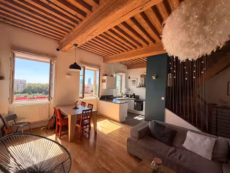 appartement canut t4 de 100 m² duplex - vue unique
