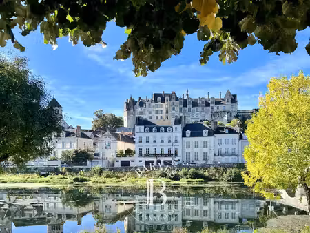 à vendre  hôtel particulier saint-aignan 8 chambres - 475 m² - 340 000 €