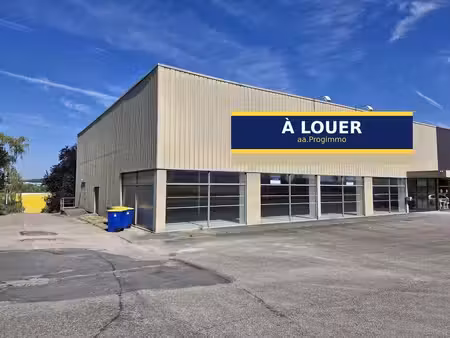 location commerce limoges 87000 675m²