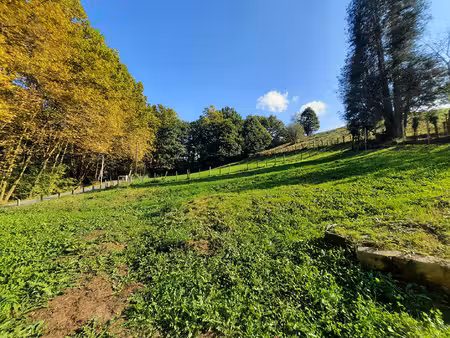 terrain sare 1204 m2