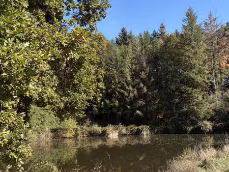etang saint-vallier