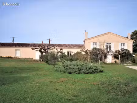 grande maison au milieu des vignes