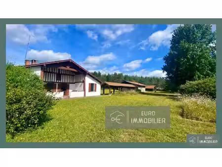 landaise gite foret - landes (40) - aquitaine
