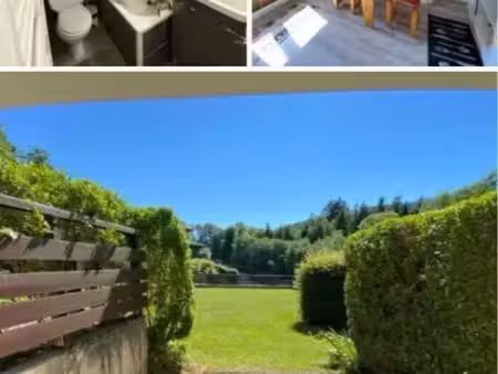 studio meublé 21 m² avec terrasse et parking – demi-quartier