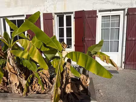 studio à louer bayonne au calme
