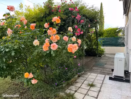 à louer f2