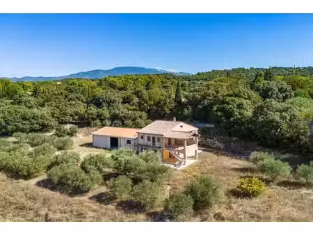 saint pierre de vassols - mont ventoux - propriété en position dominante avec oliveraie -.
