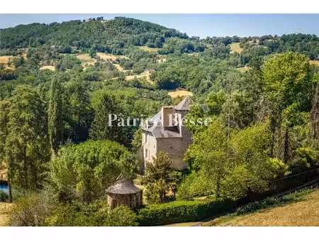 dans le midi corrézien  un château seigneurial avec dépendances