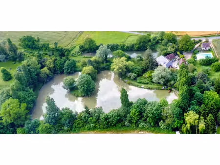 magnifique domaine de moulin sur 4 8 hectares avec étang à carpes et maisons d'hôtes  aux.