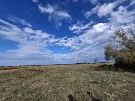 domaine de 4 7 hectares à notre-dame-de-monts
