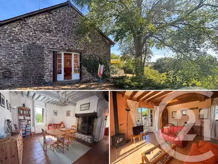 achat : maison (53250)