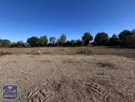 terrain
