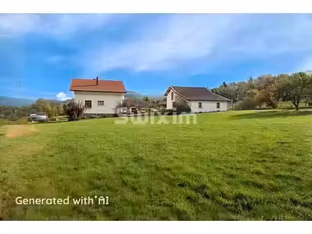 achat : maison (88160)