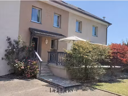 saint-dié-des-vosges - propriété de 5 appartements - 335m2