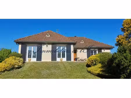 spacieuse maison familiale avec jardin et sous-sol