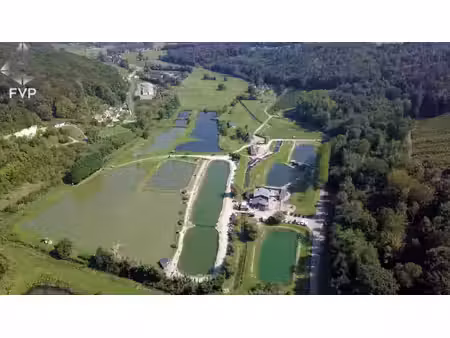 a vendre pisciculture  etangs de peche