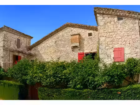 unique maison de village et son jardin ..