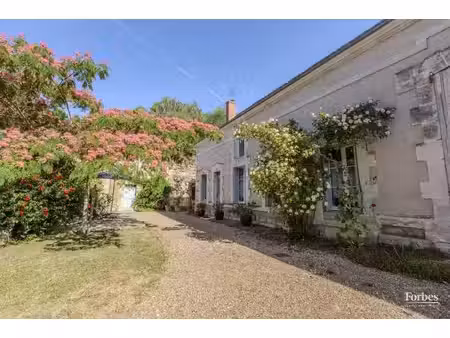 vendôme - loir-et-cher - maison de village et son gîte en parfait état à vendre.