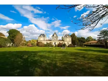 magnifique château avec vignoble proche de bordeaux.