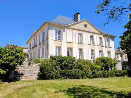 superbe domaine viticole – satellite de saint-émilion avec somptueux château