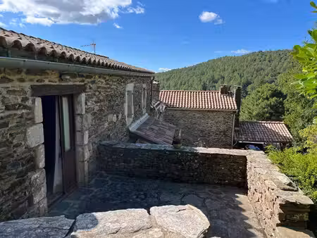 mas cevenol avec magnifique vue et piscine