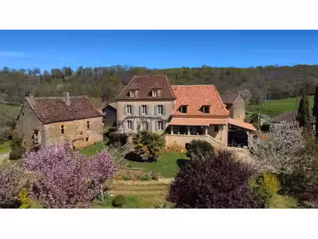 excideuil - domaine et ses gîtes avec belle vue depuis son parc arboré