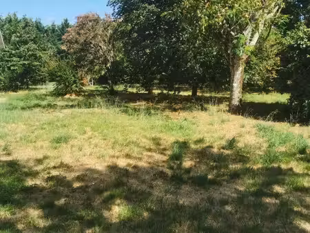 terrain à bâtir à roaillan (33210)