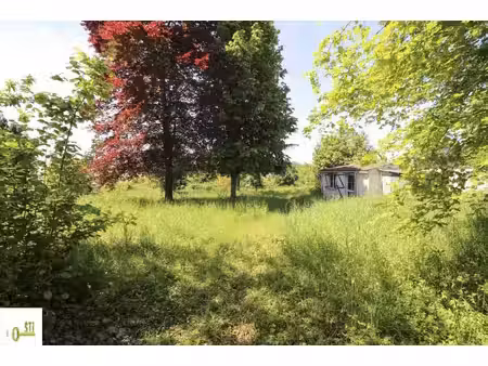 terrain avec abri de jardin