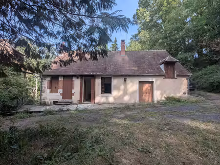pays de tronçais maisonnette isolée en bord de ruisseau