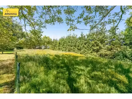 1 parcelle de terrain au vert et au calme de la campagne. lo
