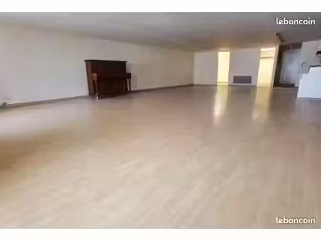 loft 100m2 usage mixte