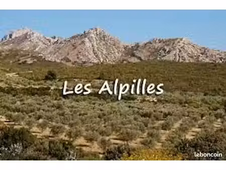terrain 350 m² senas