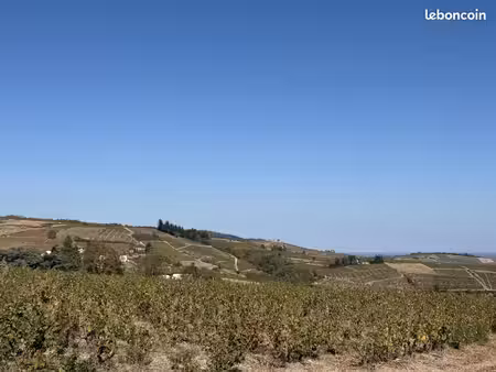 terrain 821 m² chiroubles