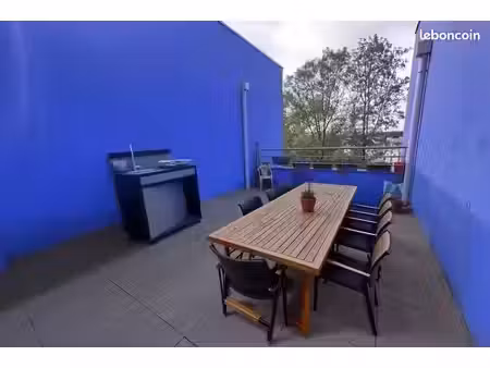 plateau de la duchere: duplex dernier etage avec terrasse de 20 m²