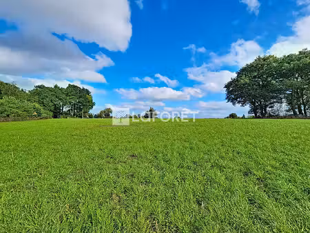 terrain guegon 27637 m2