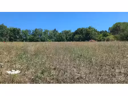 terrain à bâtir viabilisé de 1129m² à 21 km cahors sud-ouest