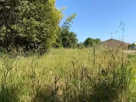 vente terrain à notre-dame-de-riez (85270) : à vendre / 827m² notre-dame-de-riez